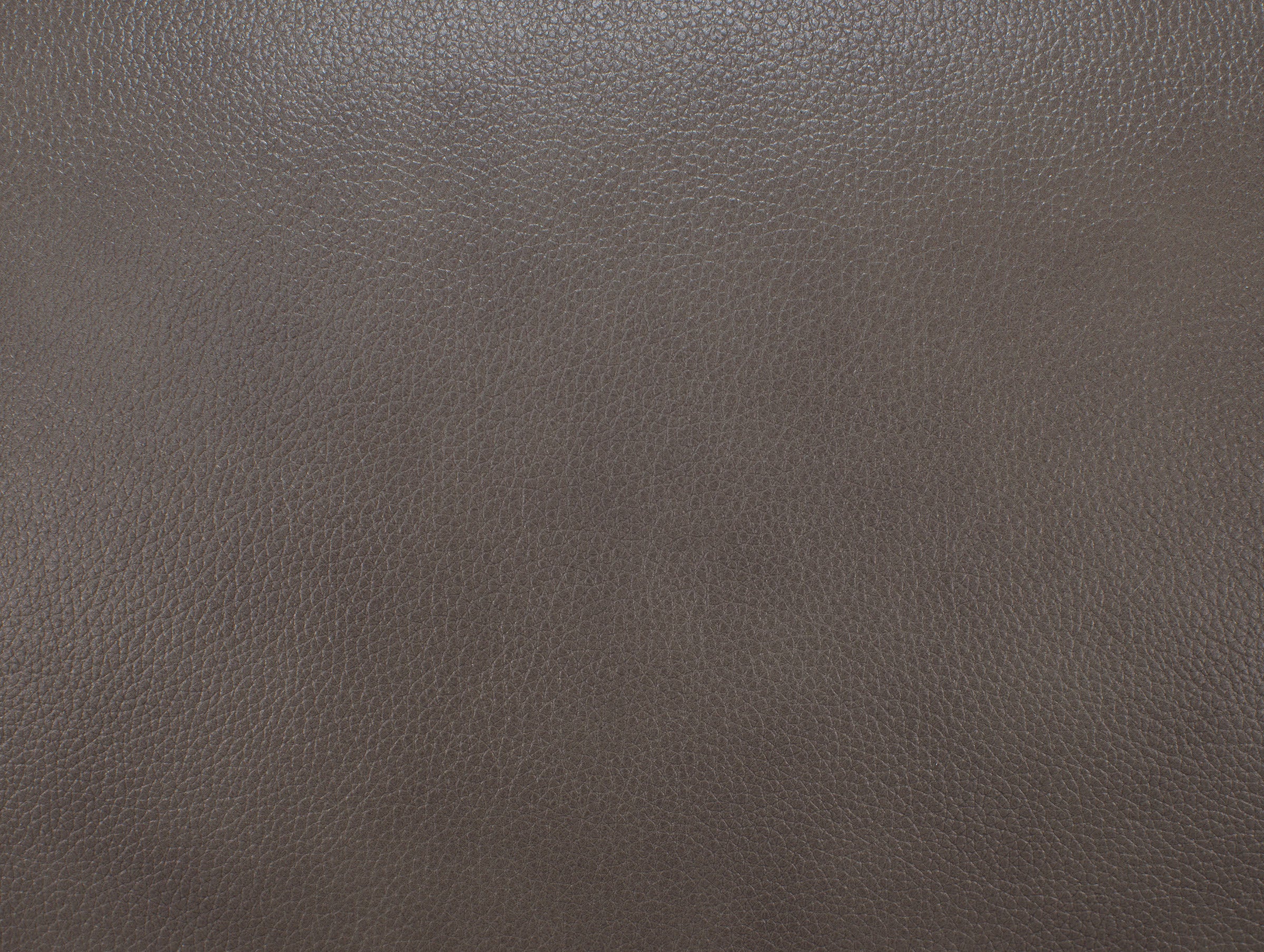 Anderson Leather Power Headrest Reclining Loveseat