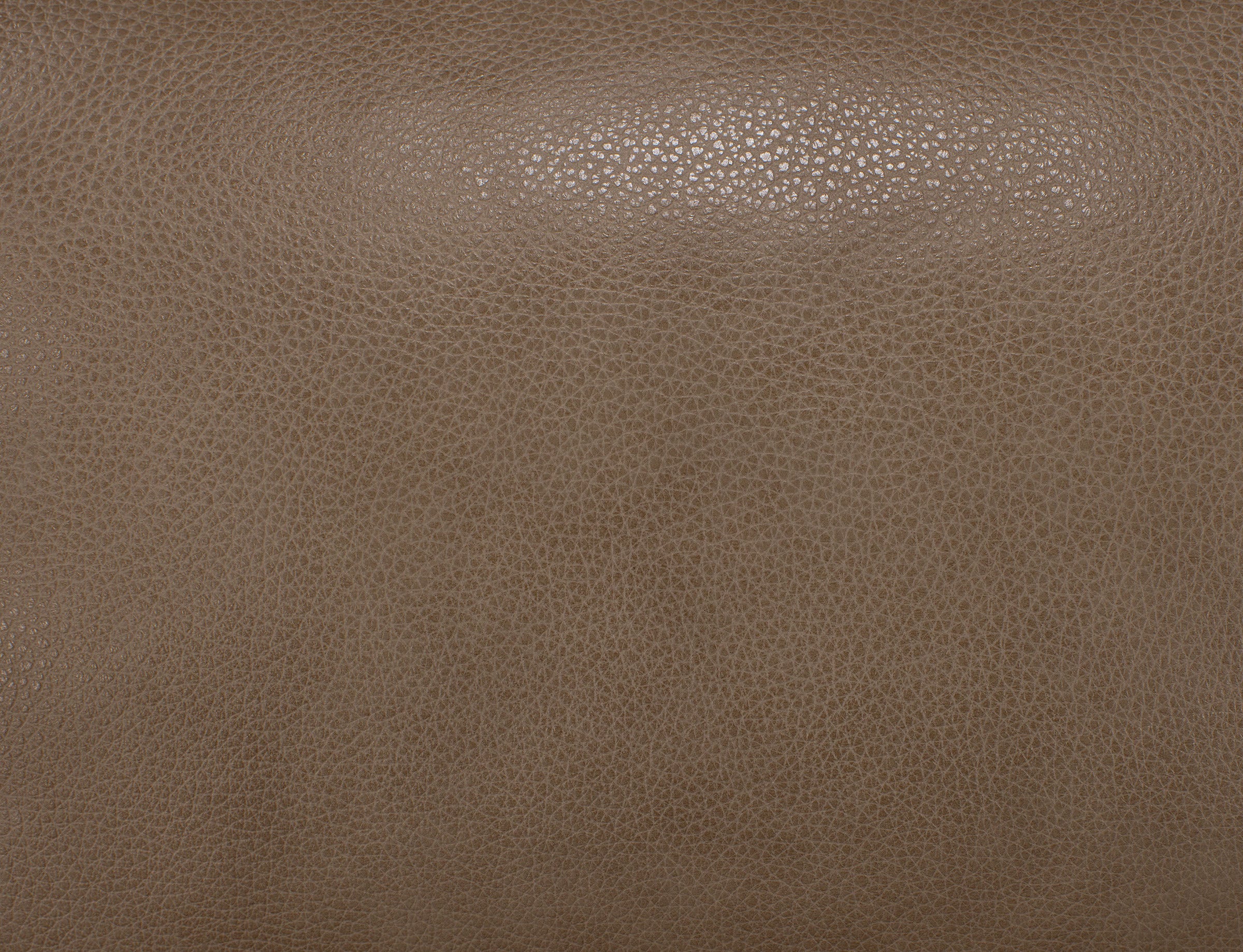 Nixie Leather Fully Loaded Reclining Sofa