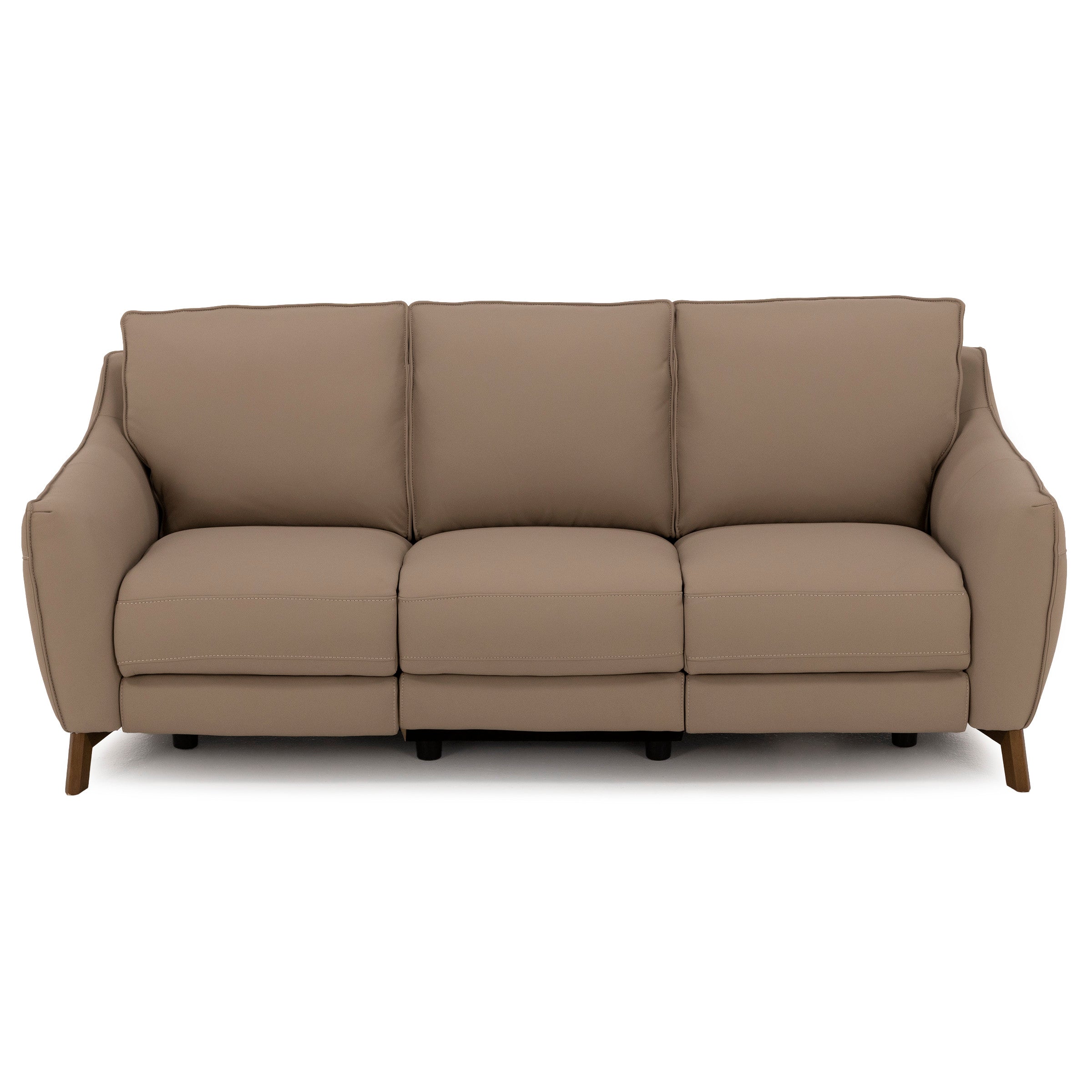 Palmetto Leather Power Reclining Sofa