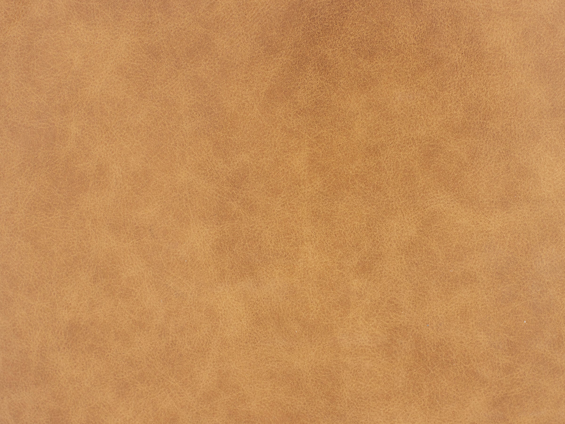 Dorn Leather Accent Chair