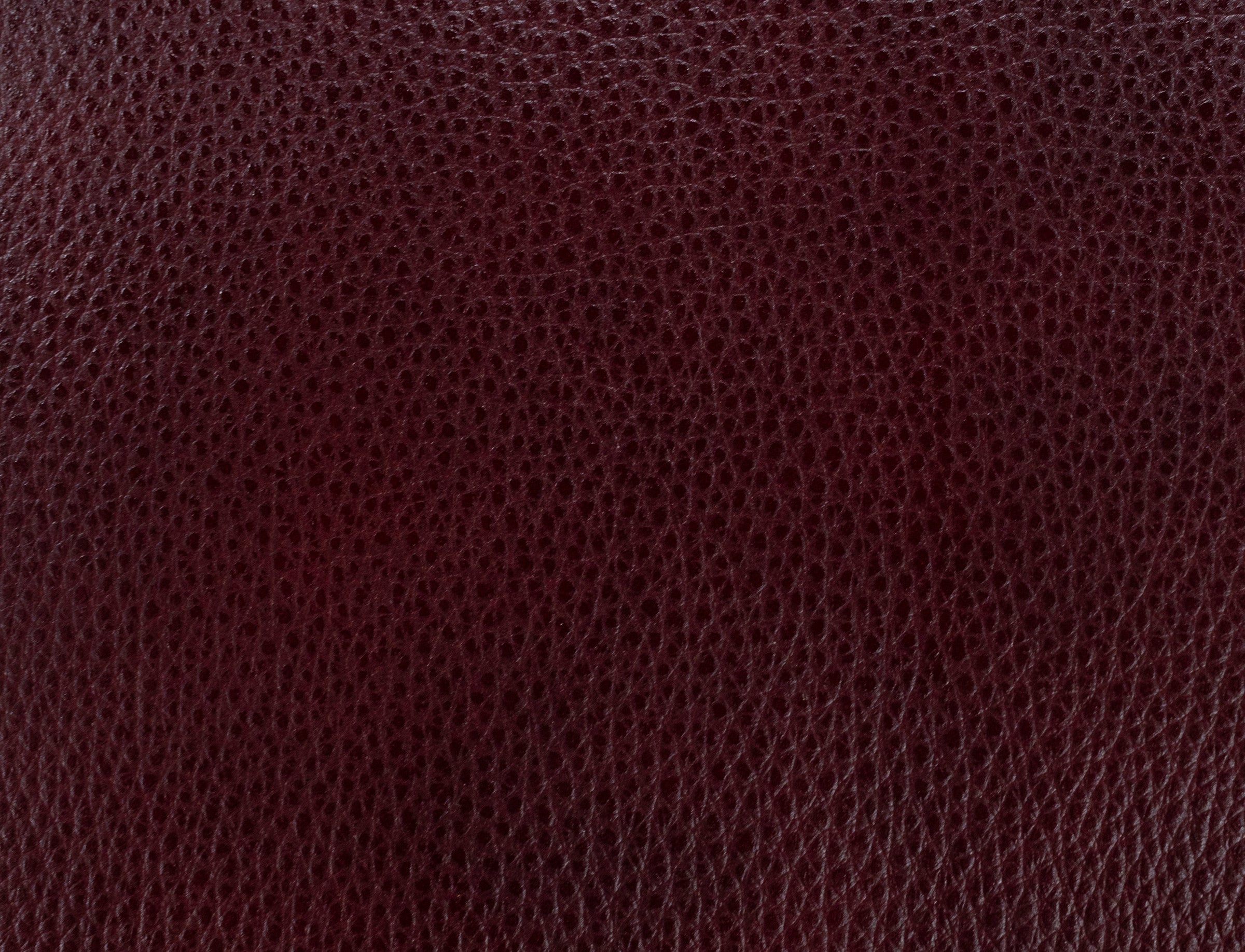 Gordon Leather High Leg Wing Back Recliner