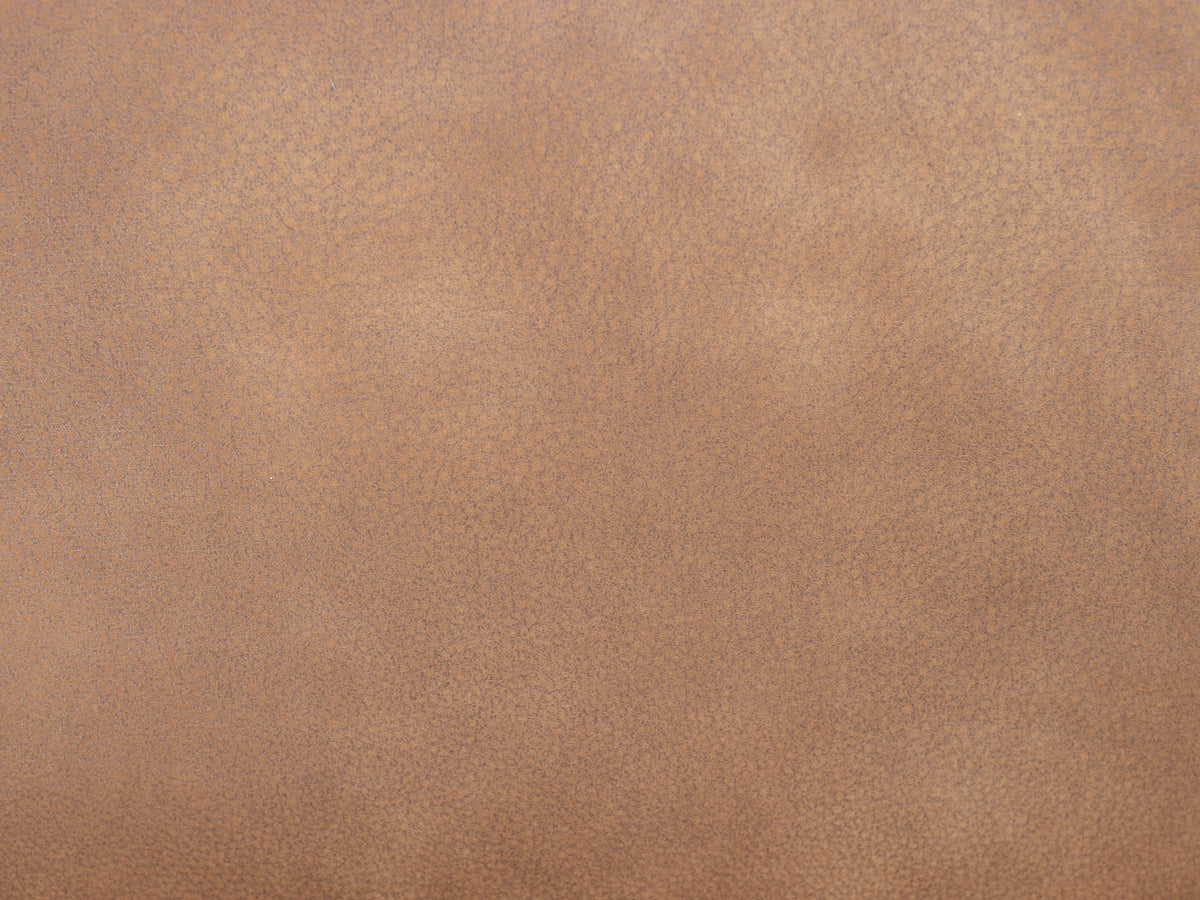 Light brown textured leather surface.