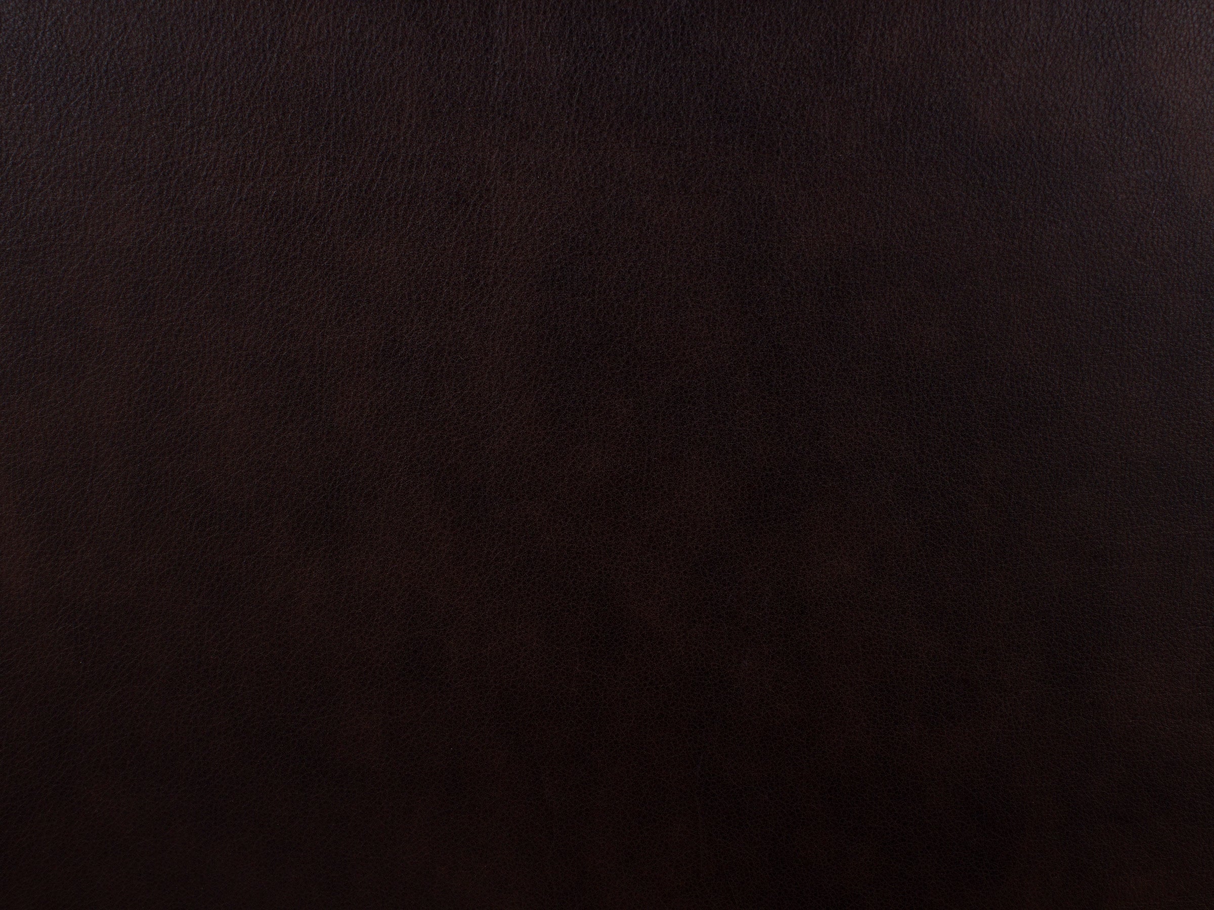 Eden Leather Bed