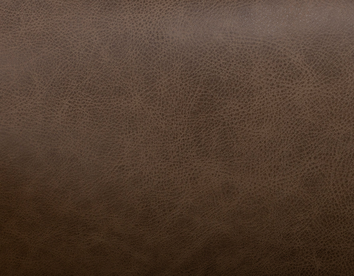 Dallas Leather Power Headrest Wall Saver Reclining Sofa in Portobello