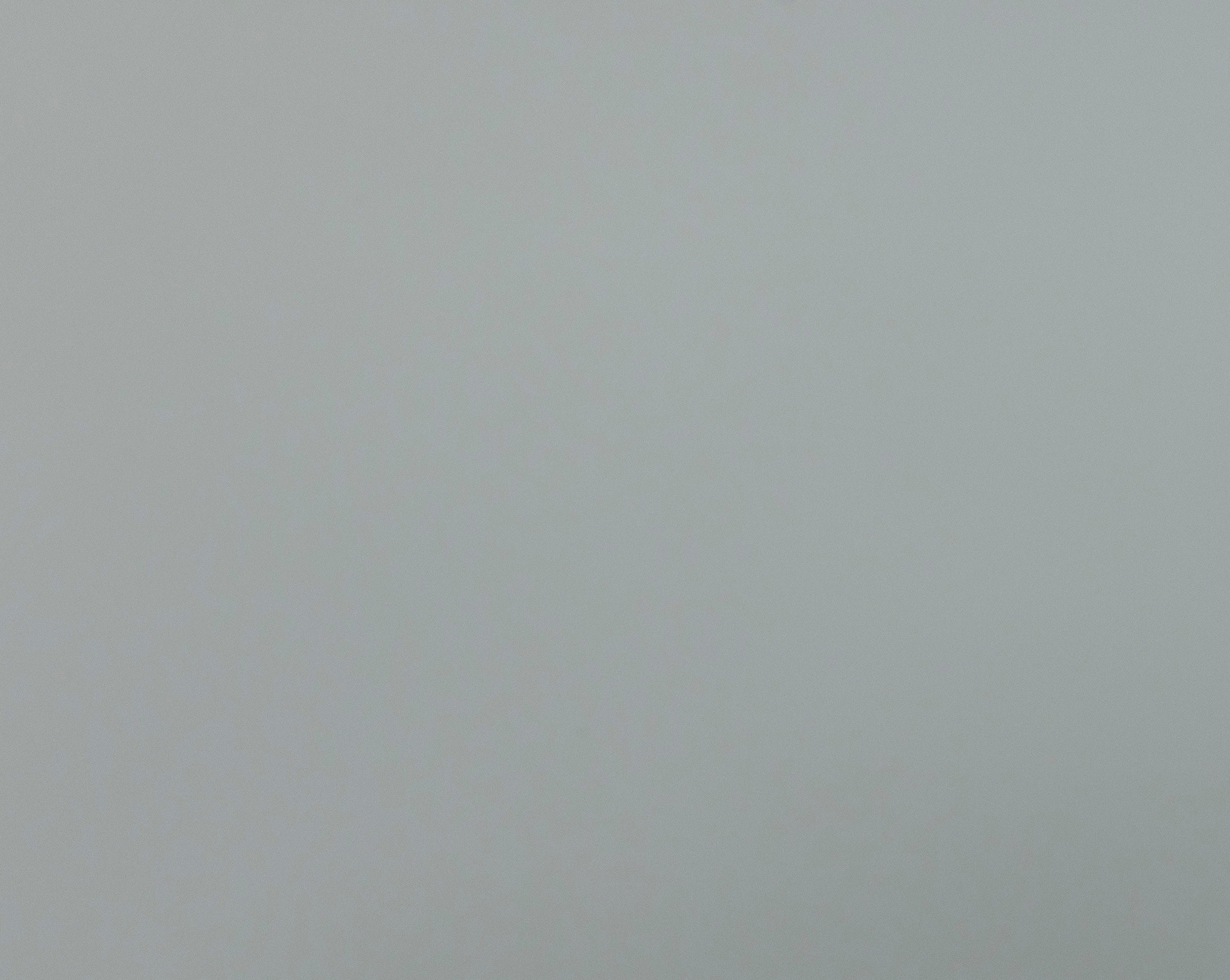 Solid light grey background, no distinct features or details.