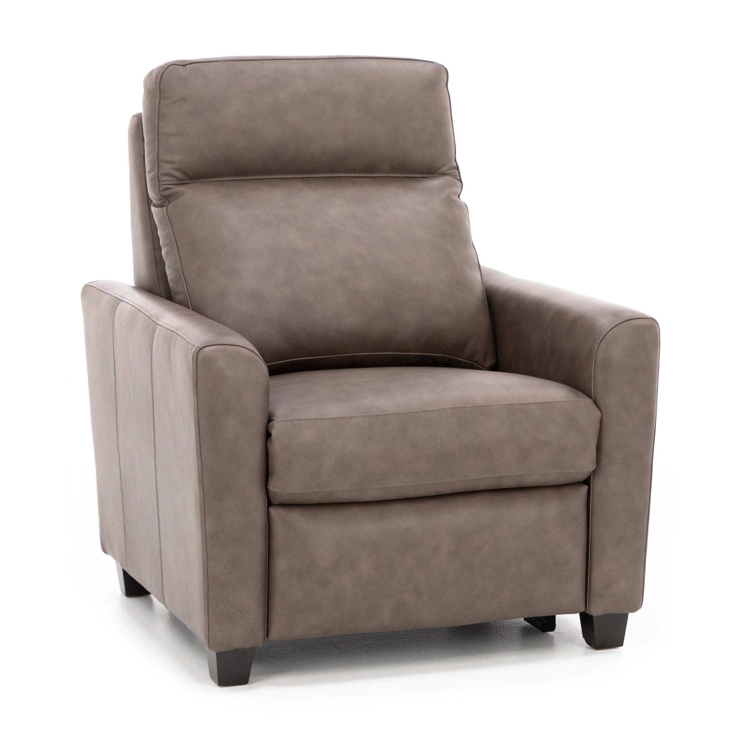 Pasadena Leather Dome Arm Power Headrest Recliner in Driftwood