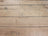 Clear Maple #176