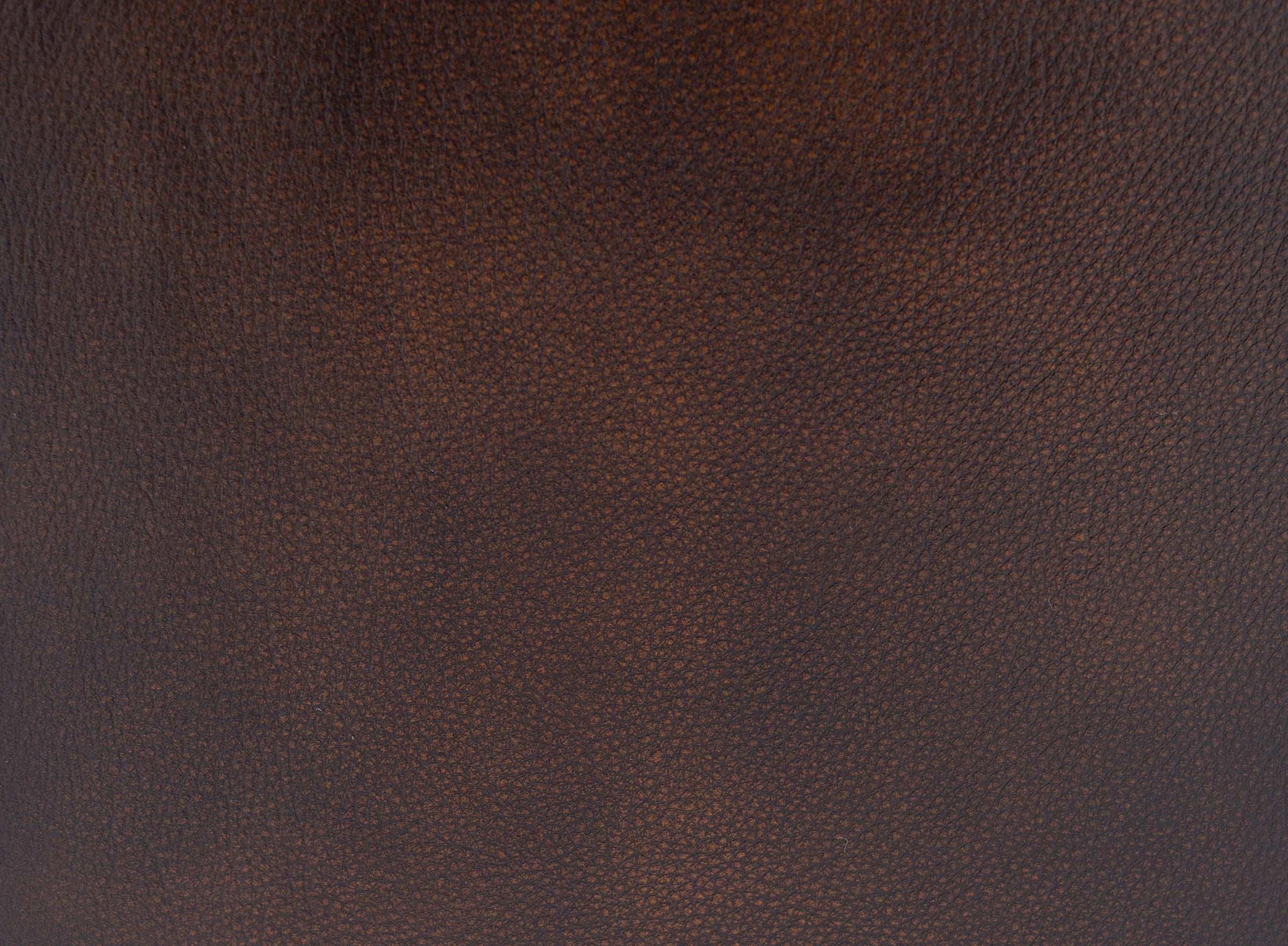 Carrie Leather Power Headrest Recliner