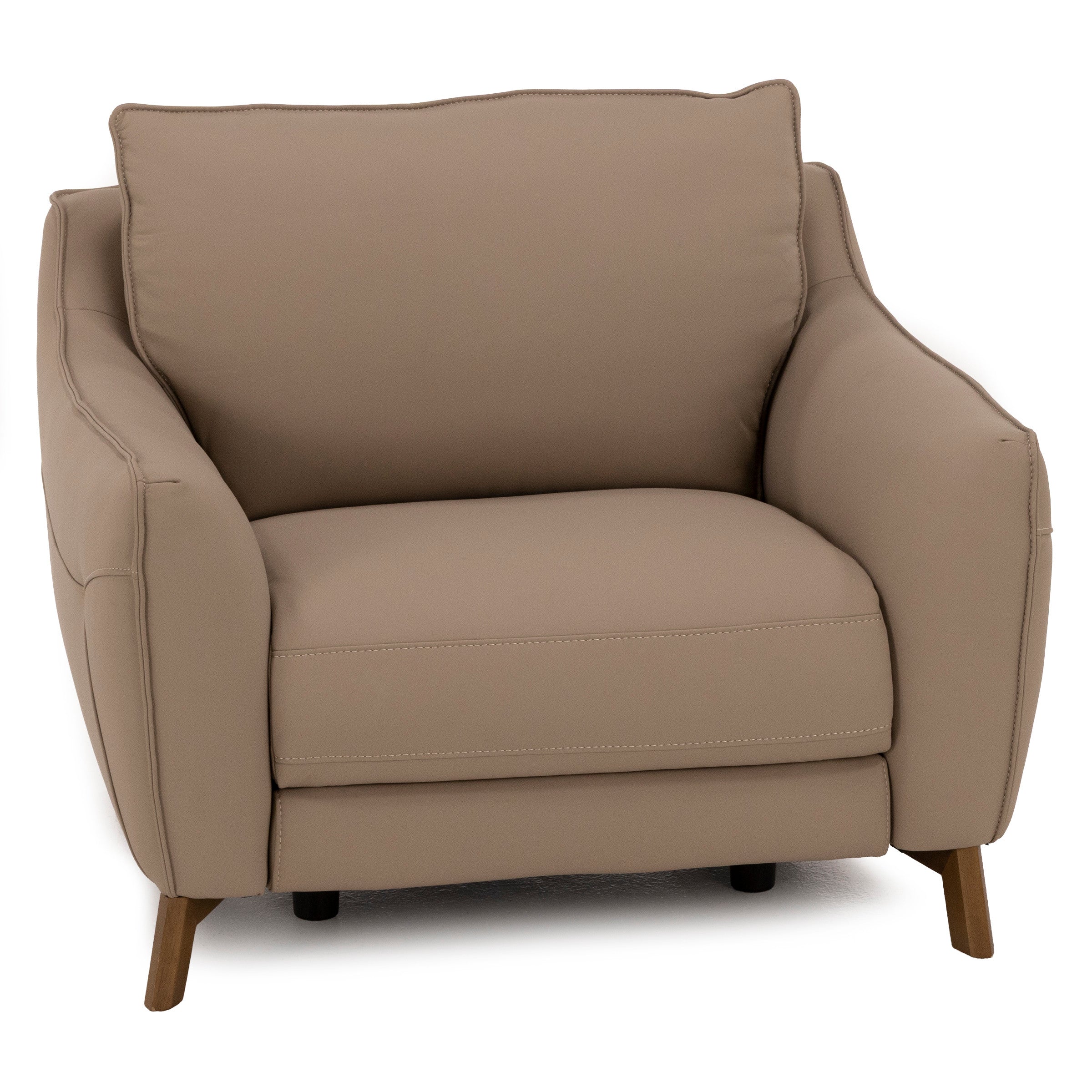 Palmetto Leather Power Recliner
