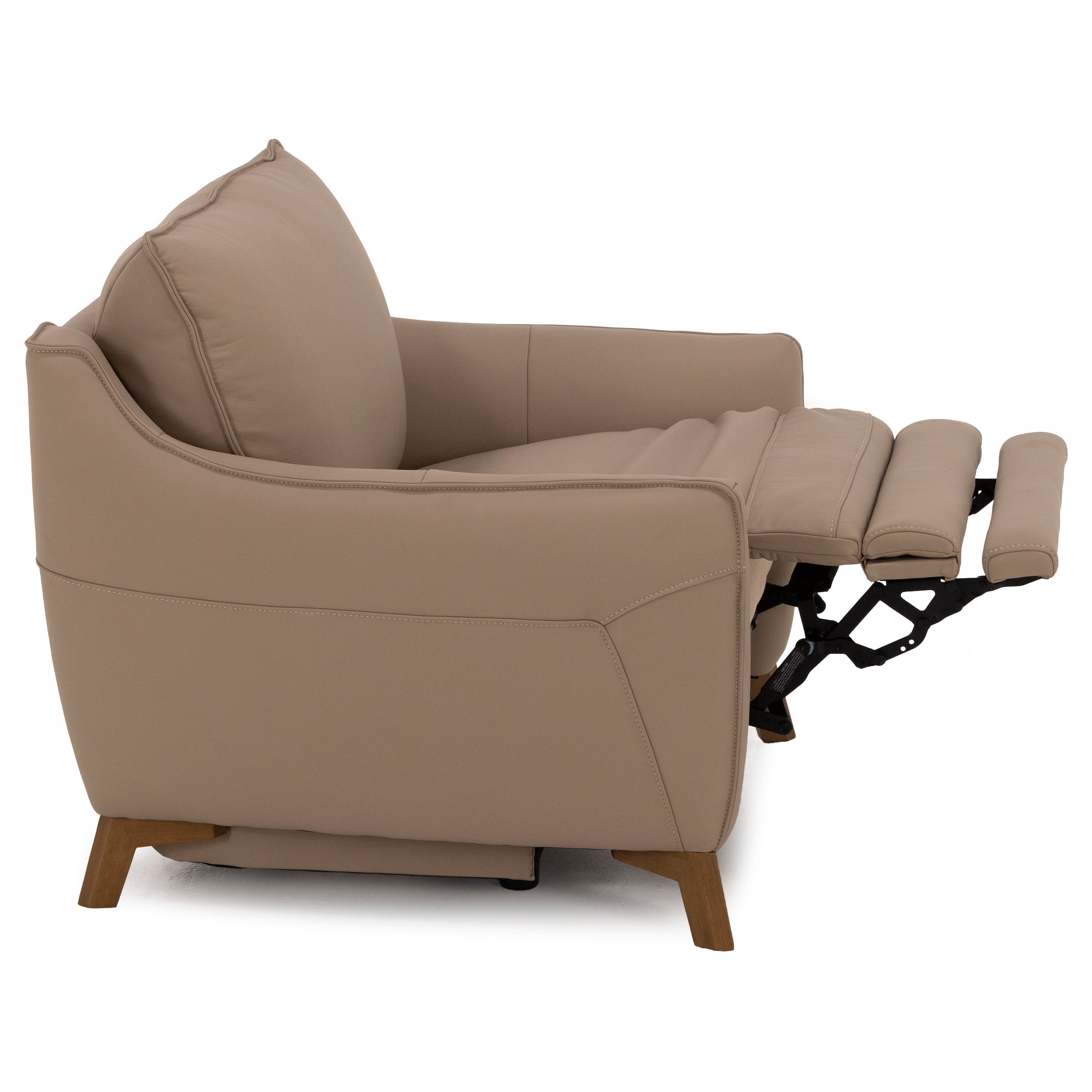 Palmetto Leather Power Recliner