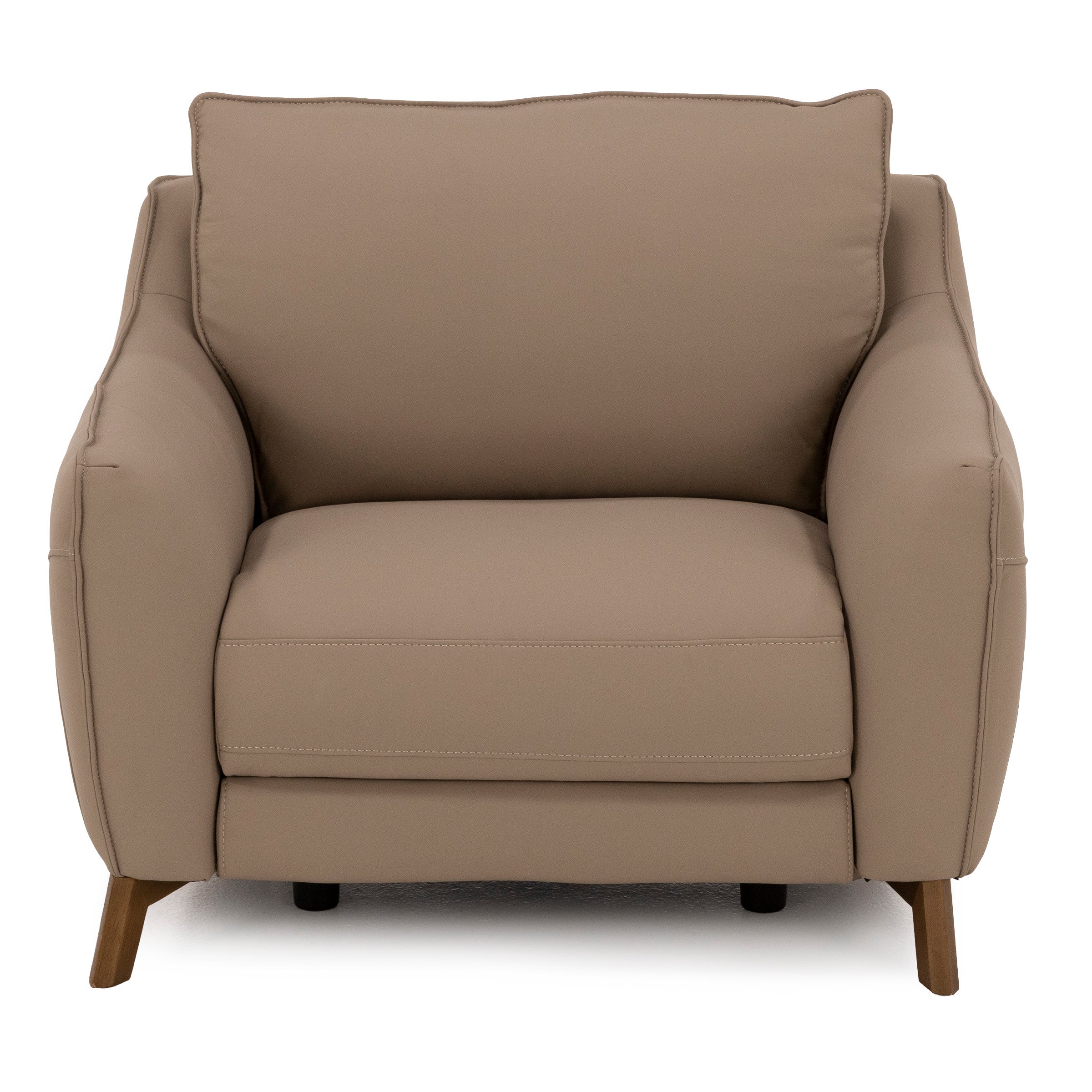 Palmetto Leather Power Recliner