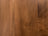Walnut M20