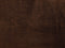 Walnut M20 - 764 Seed