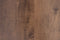Walnut M20