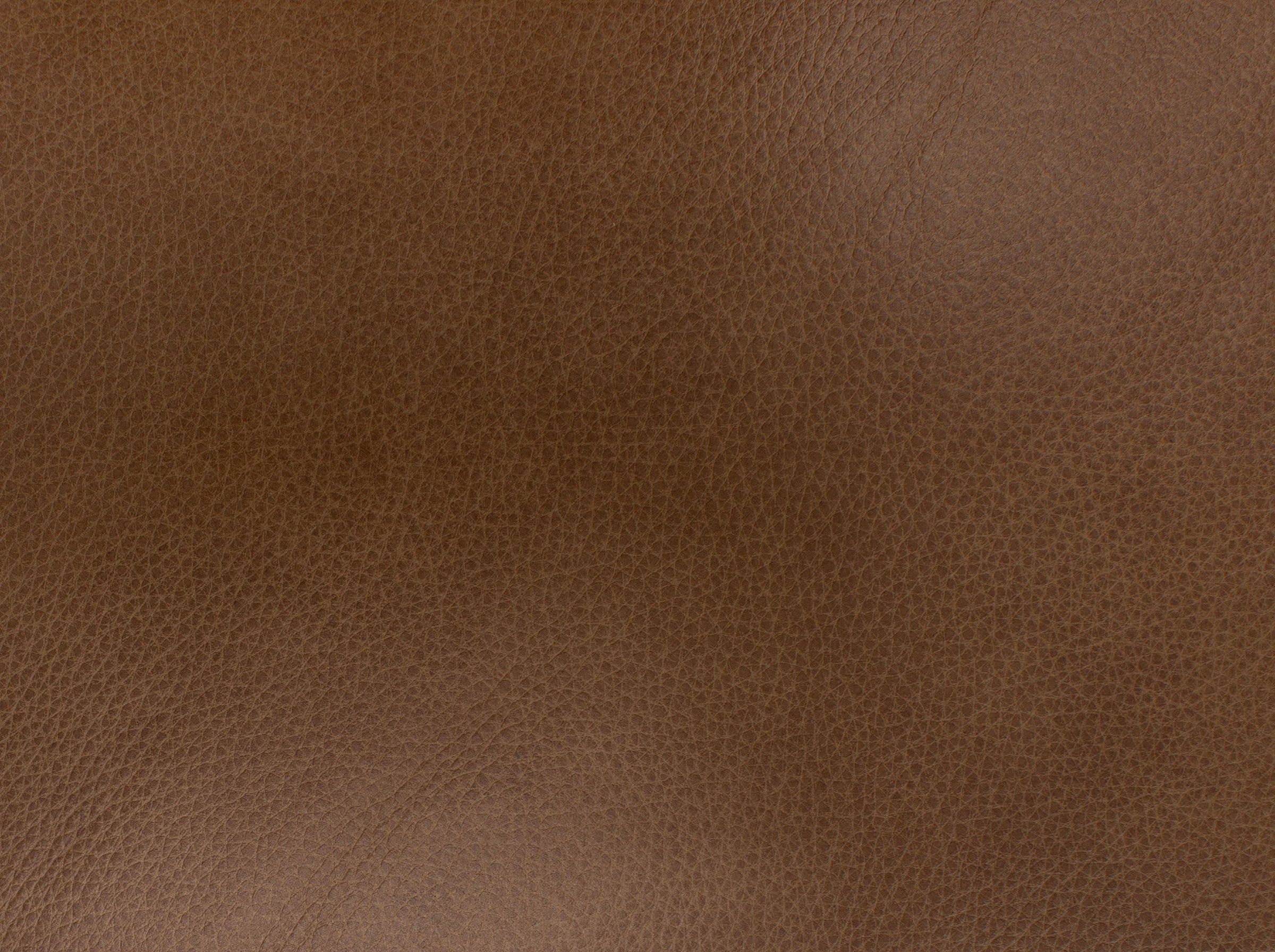 Oliver Leather Loveseat