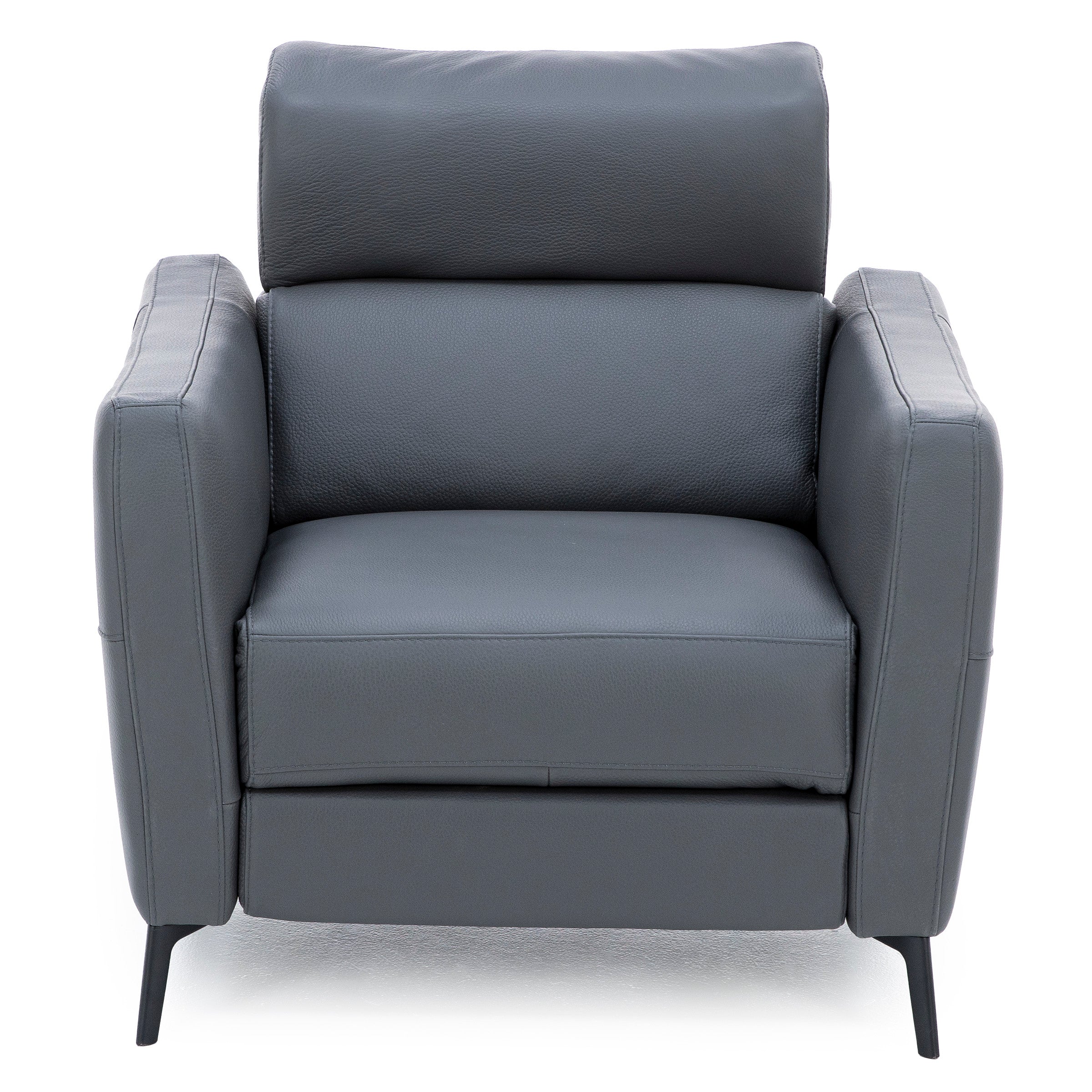 Gabriel Leather Power Headrest Recliner