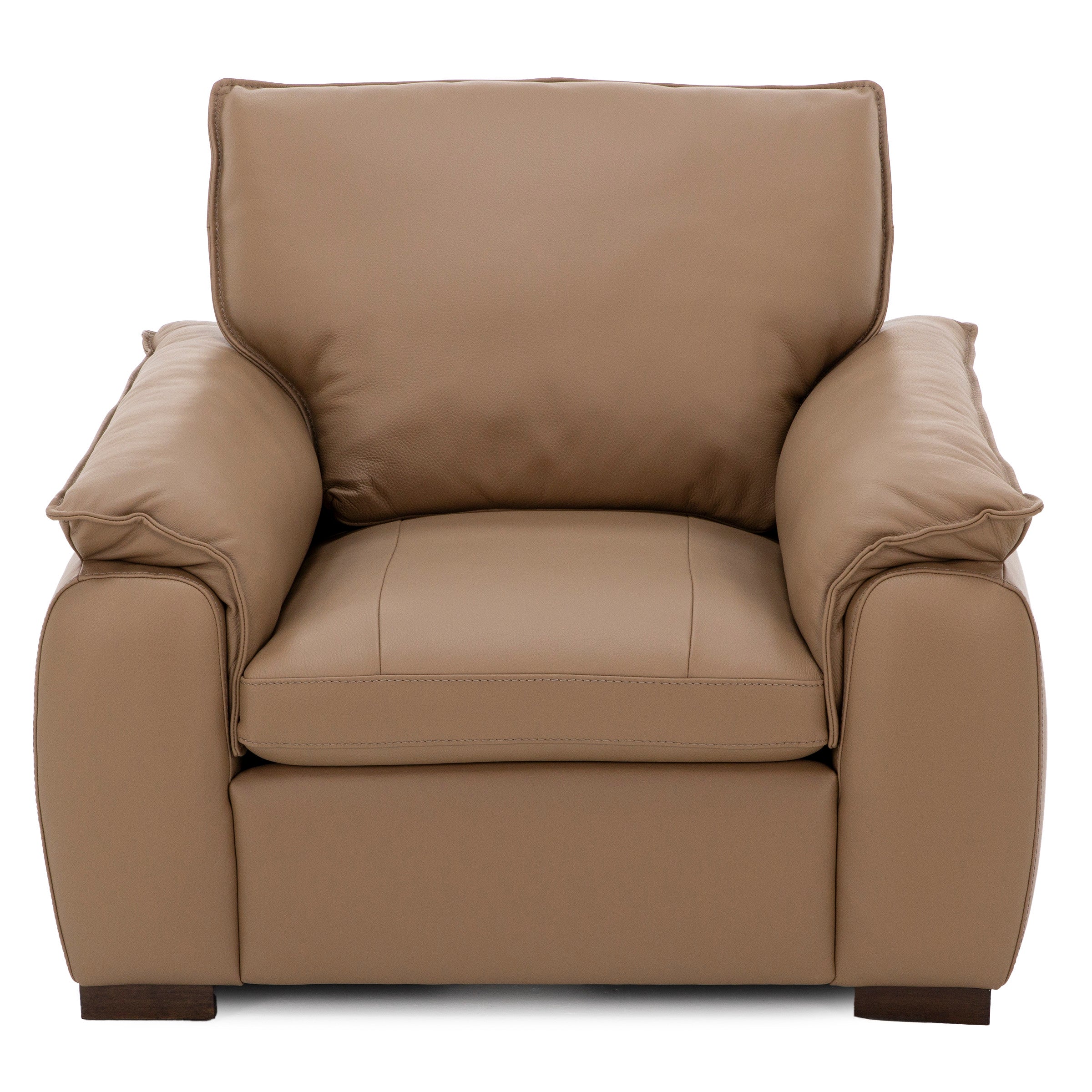 Luna Leather Chair