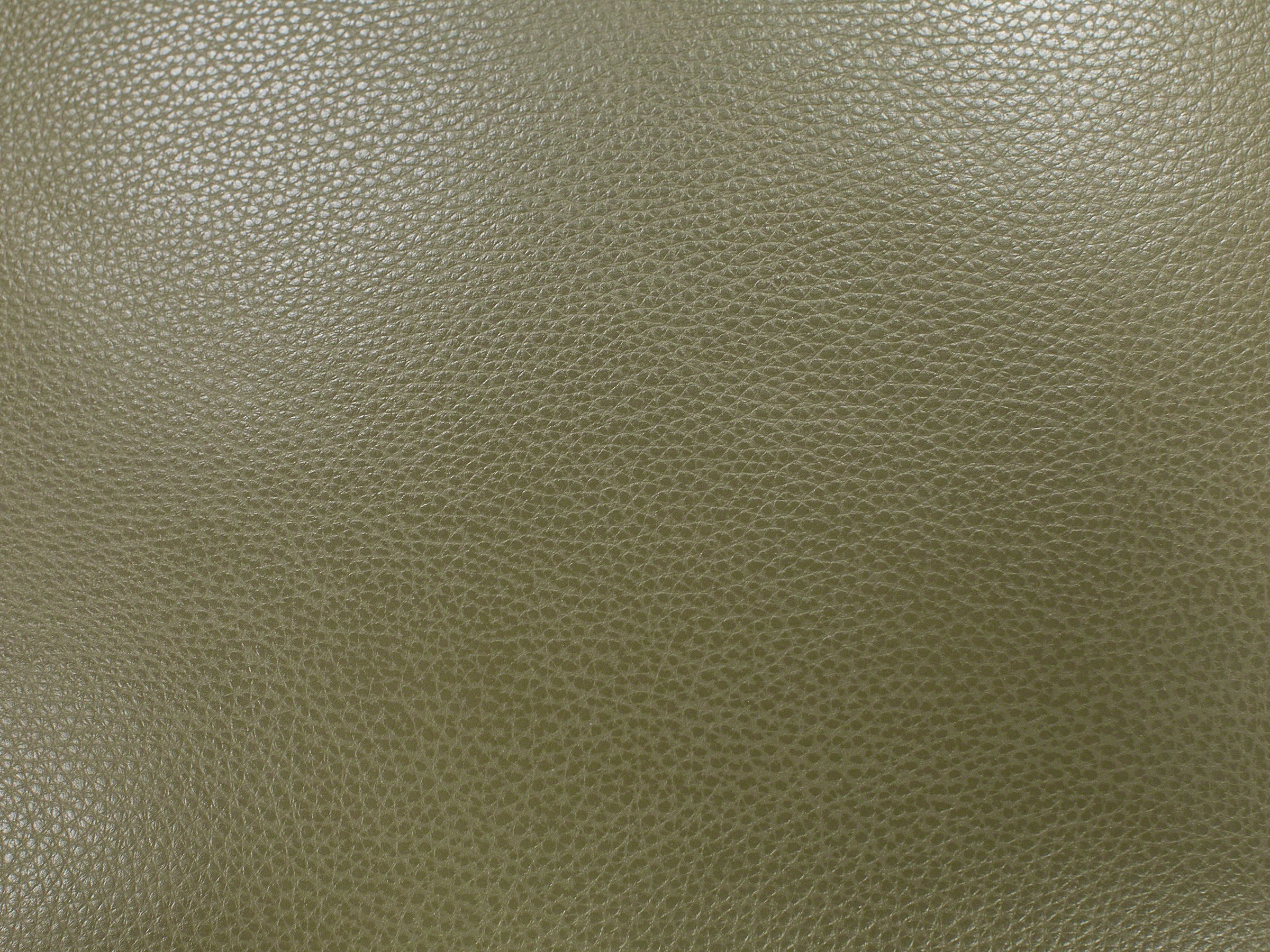 Close-up of textured olive green leather material.