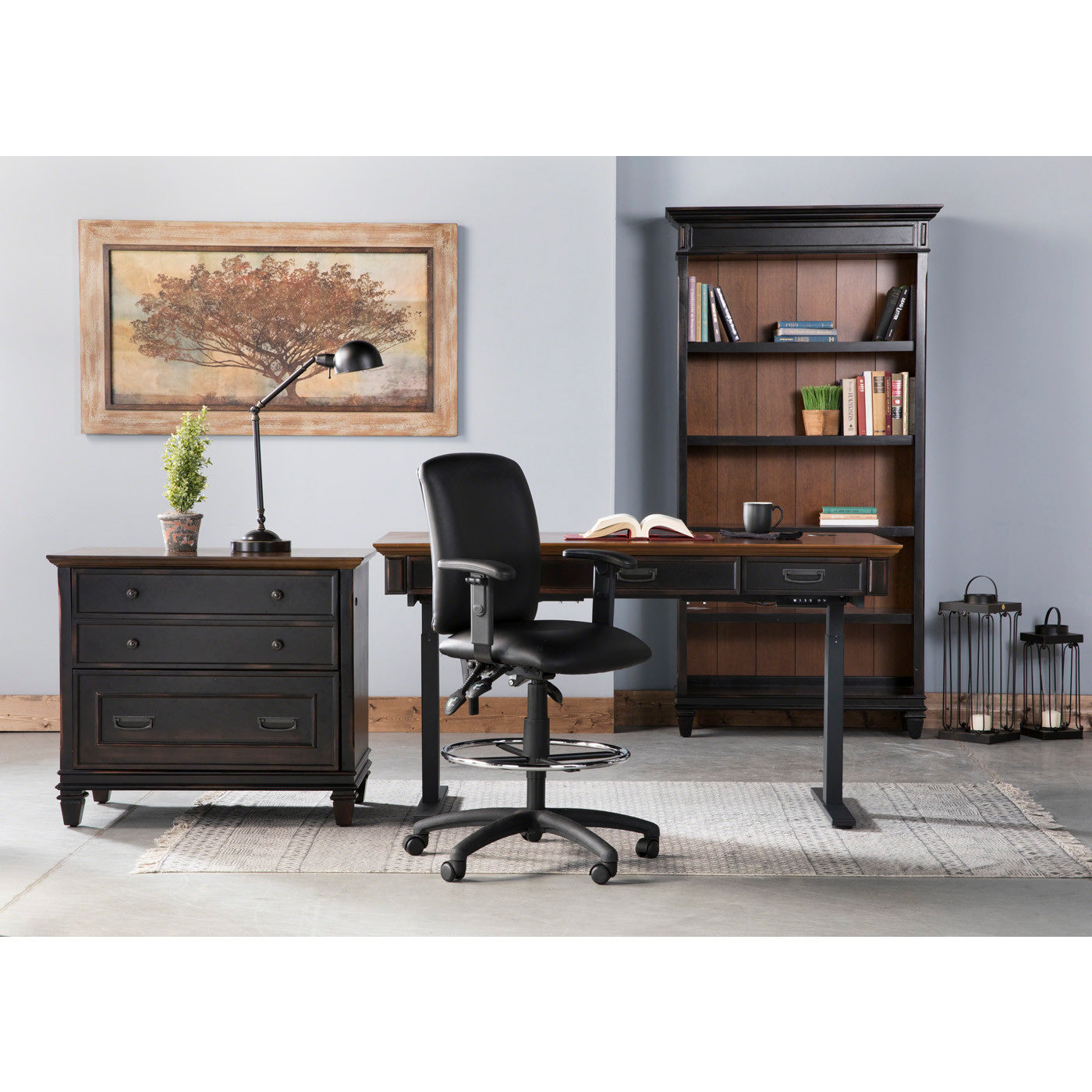 Sit and Stand Desk
