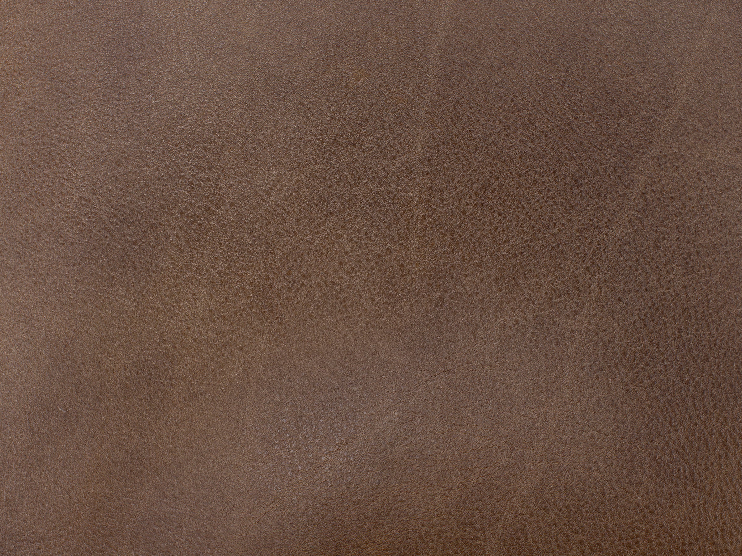 Relik Leather Power Headrest Recliner