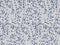 25612 Lapis