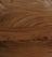 Chestnut