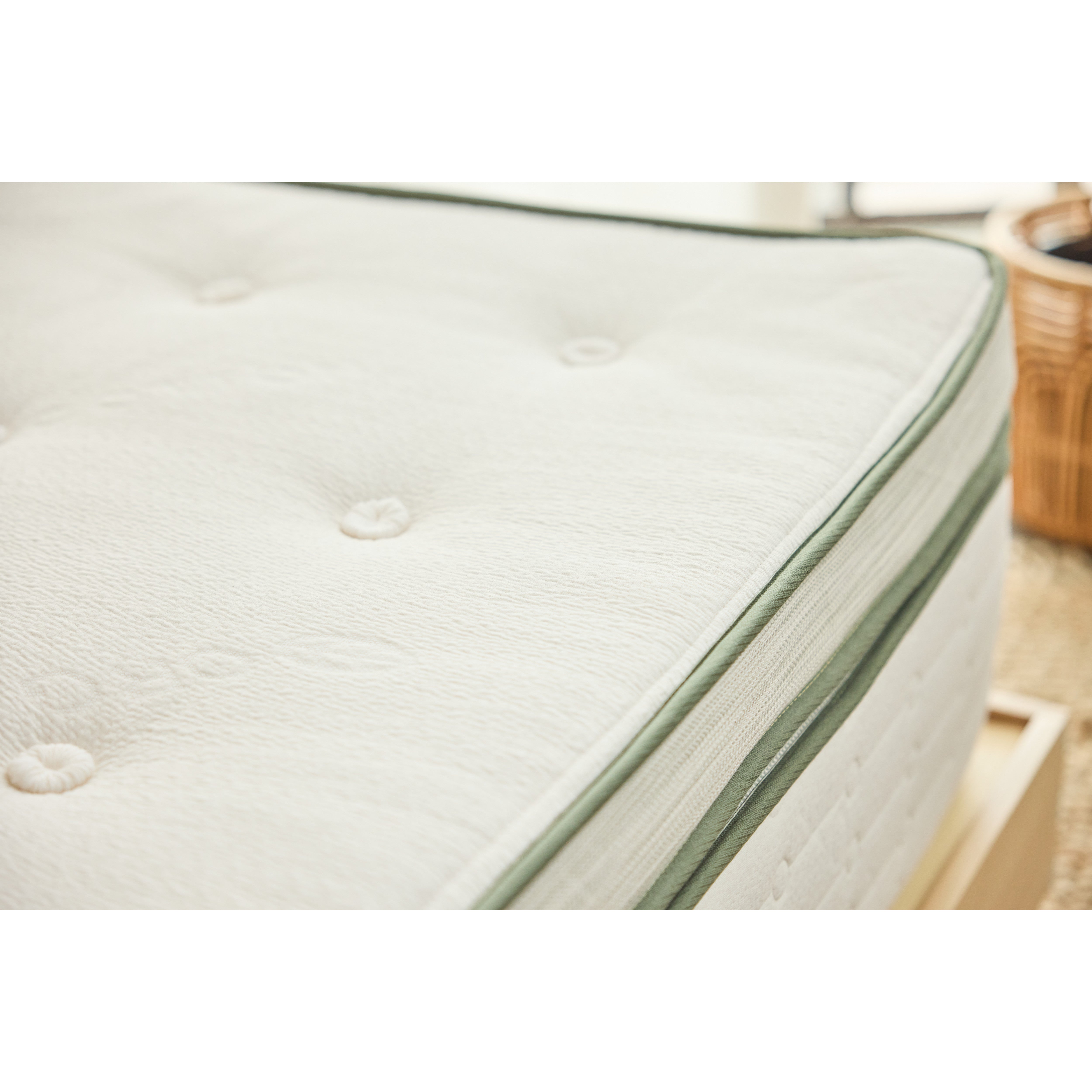 Avocado Green Box Top Plush Mattress