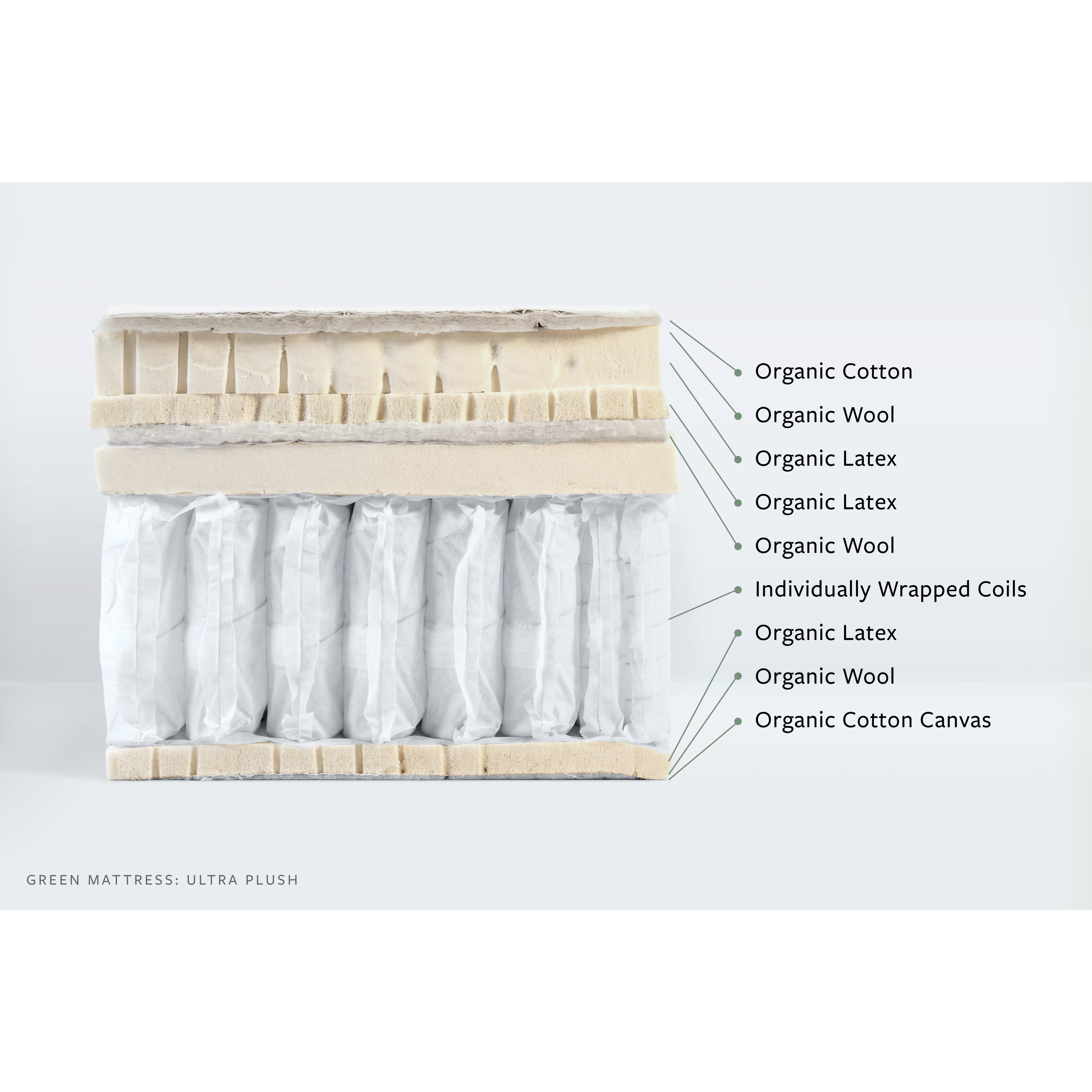 Avocado Green Box Top Plush Mattress
