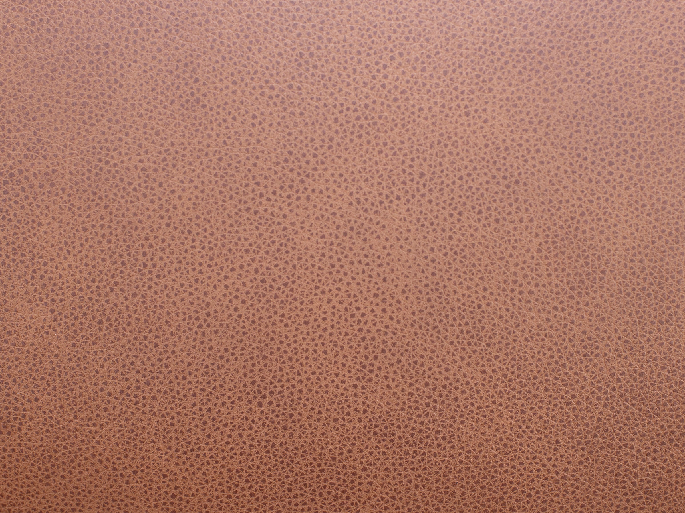 Paloma Leather Sofa