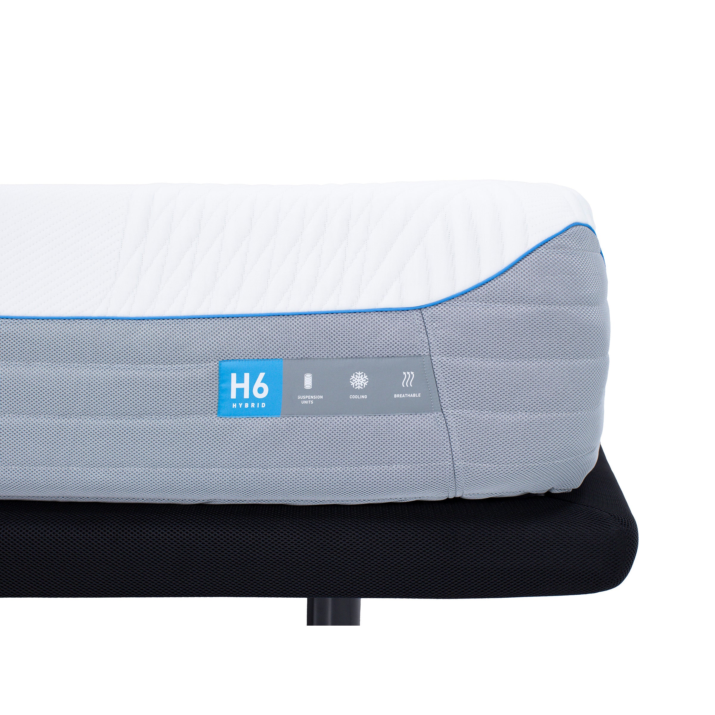 H6 Medium Plush Hybrid