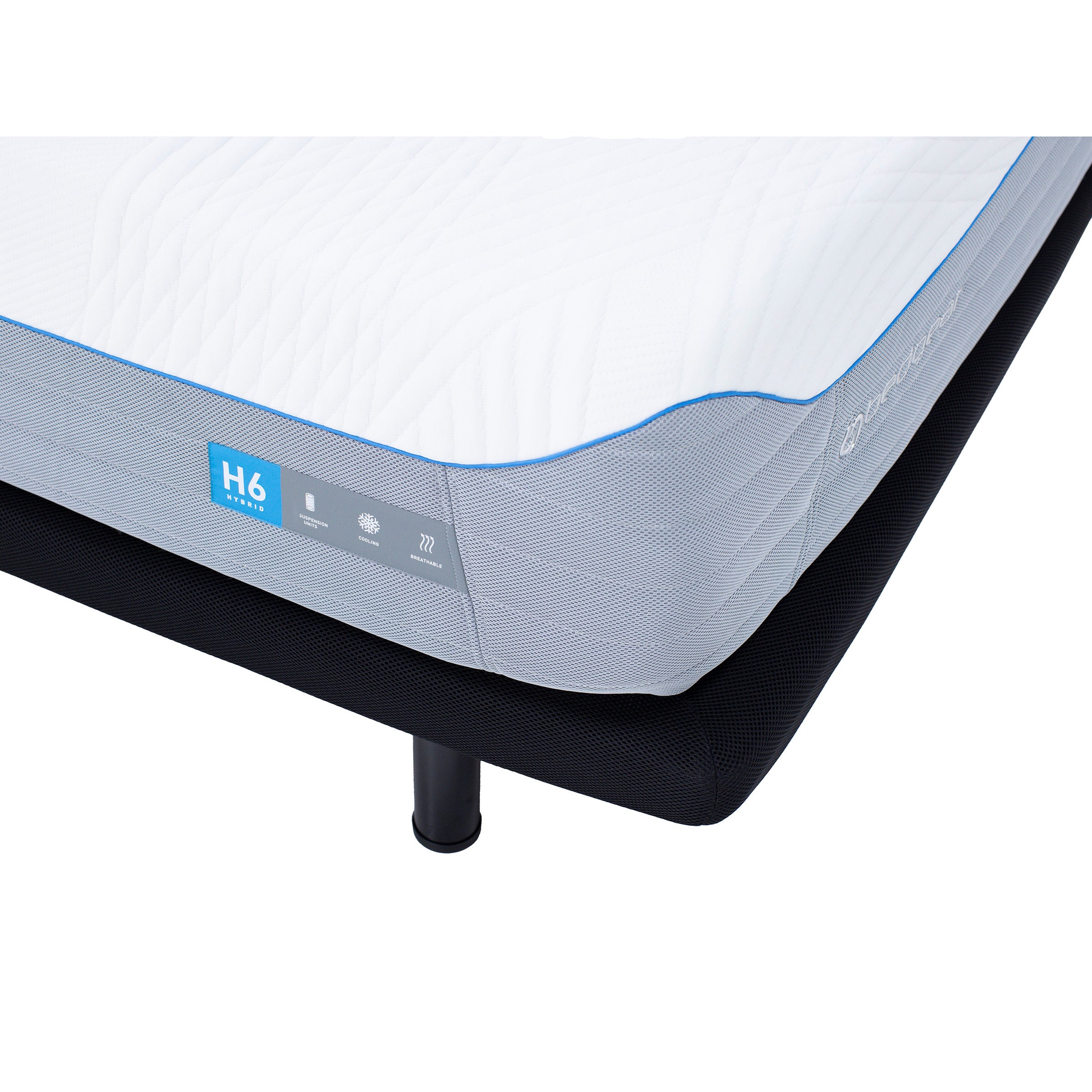 H6 Medium Plush Hybrid
