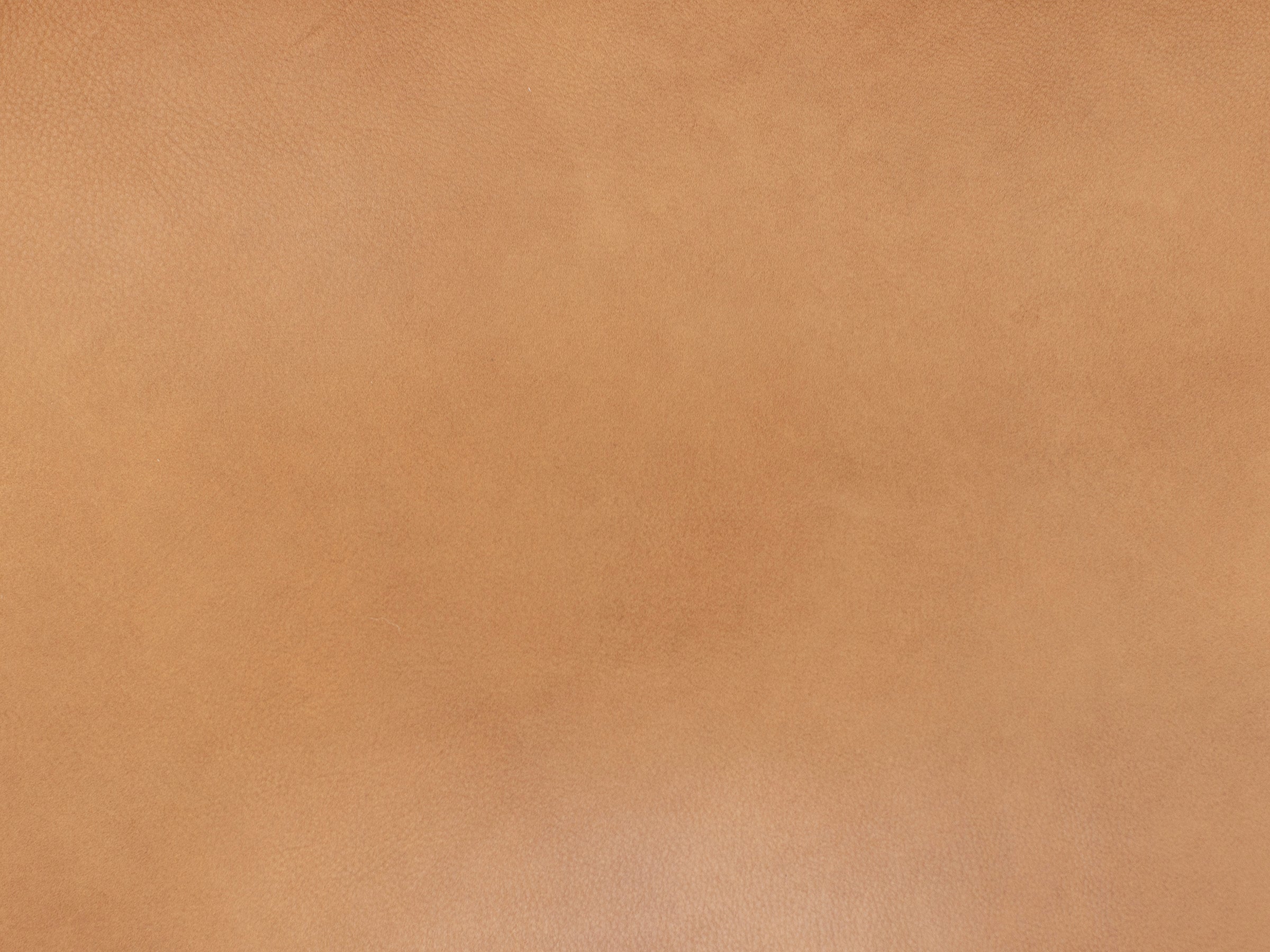 Cameron Leather Wide Chair