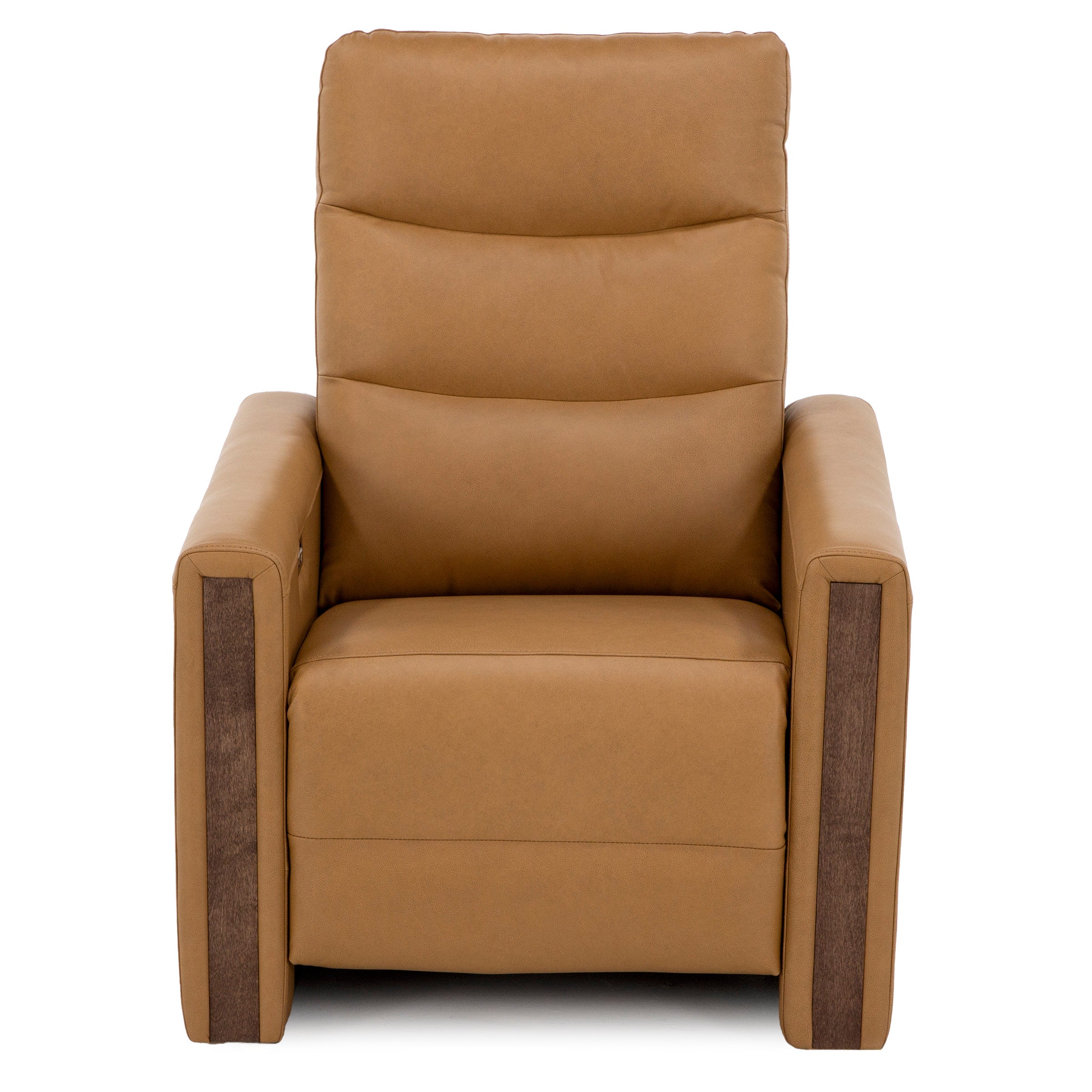 Conway Leather Fully Loaded Wall Saver Recliner